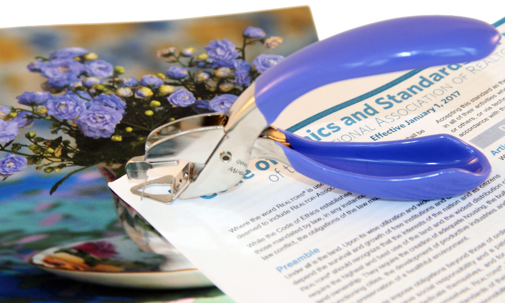 Staple Remover KNOXPOINT